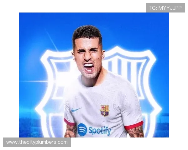 若昂·坎塞洛:葡萄牙国家队主力边后卫解析 若昂·坎塞洛:葡萄牙国家队主力边后卫解析